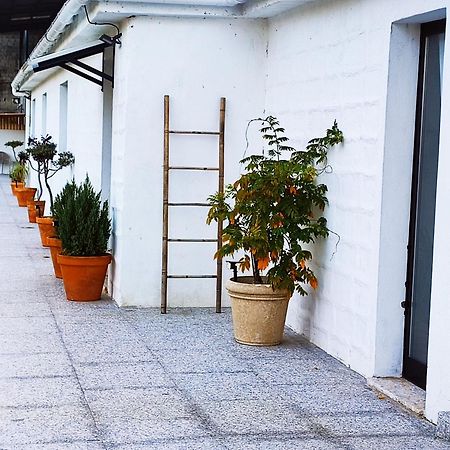 Casa Marina, En Plena Naturaleza Y Vistas Al Campo Villa Pontevedra Ngoại thất bức ảnh