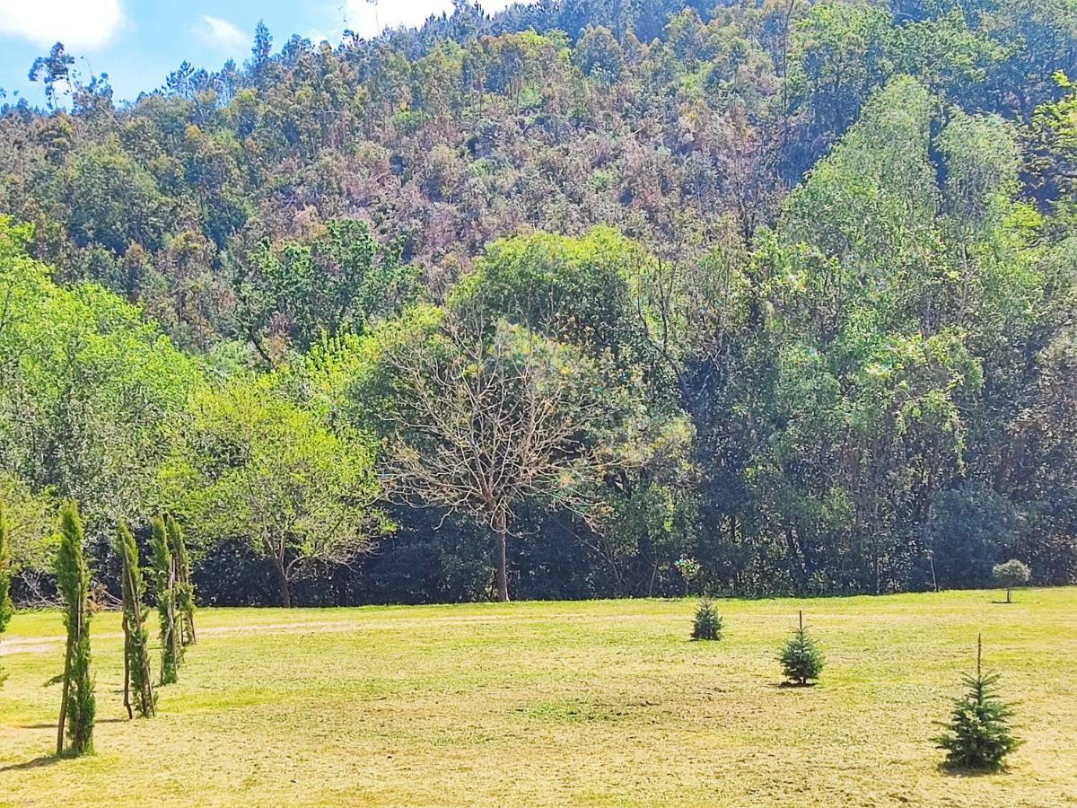 Casa Marina, En Plena Naturaleza Y Vistas Al Campo Villa Pontevedra Ngoại thất bức ảnh